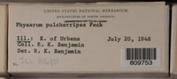 Image Associated With the Occurence